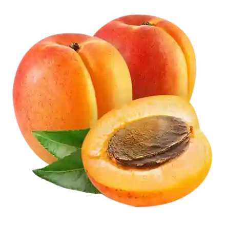Abricot
