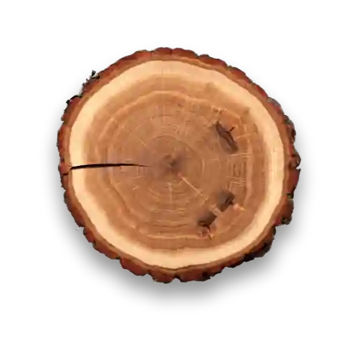 Bois D'ébène