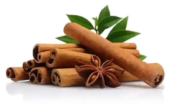 Cannelle