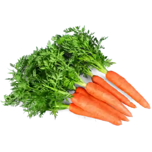Carottes