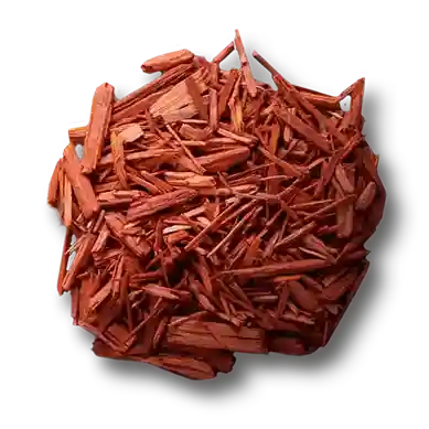 Cyprès