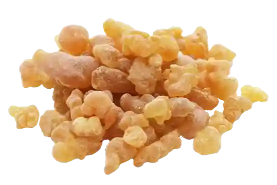 Encens