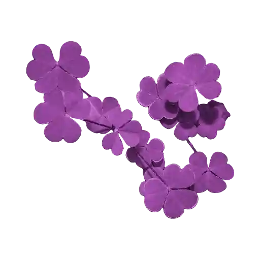 Feuille De Violette