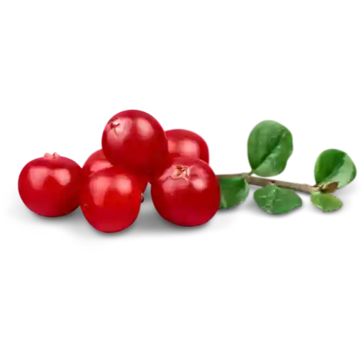 Fruits Rouges