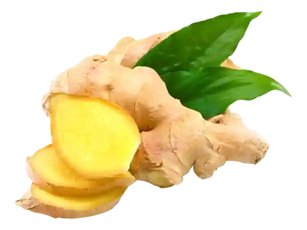 Gingembre