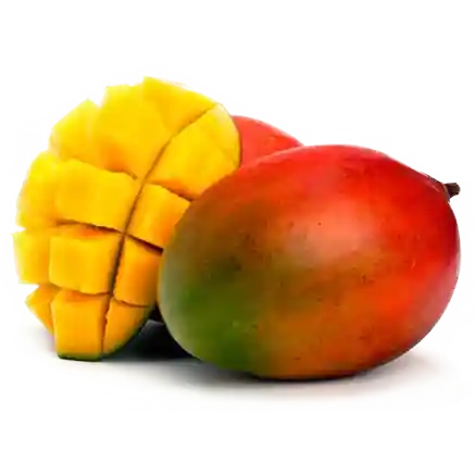 Mangue