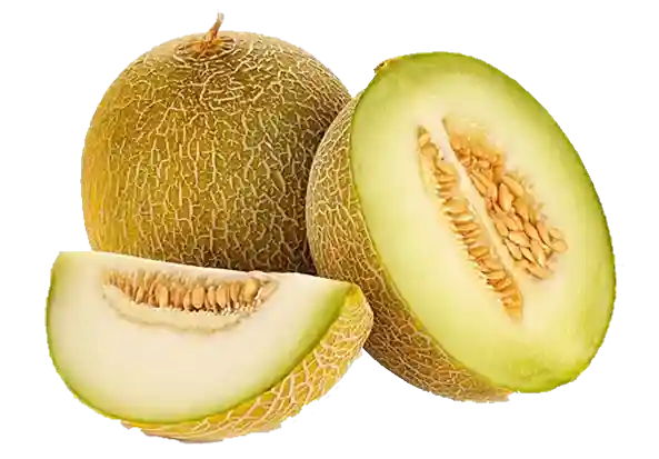 Melon