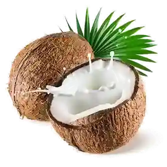 Noix De Coco
