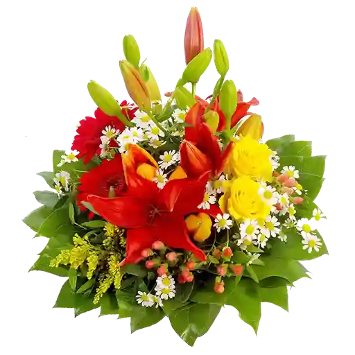 Notes Floral