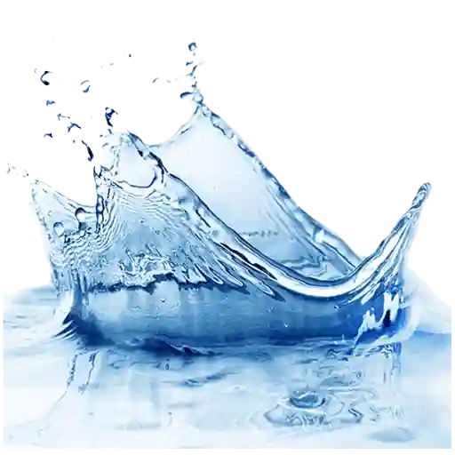 Notes Aquatiques