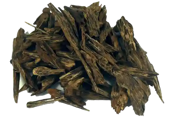 Oud