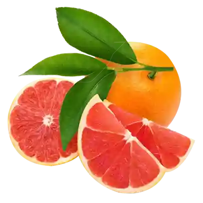 Pamplemousse