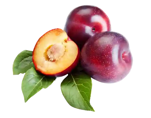 Prune