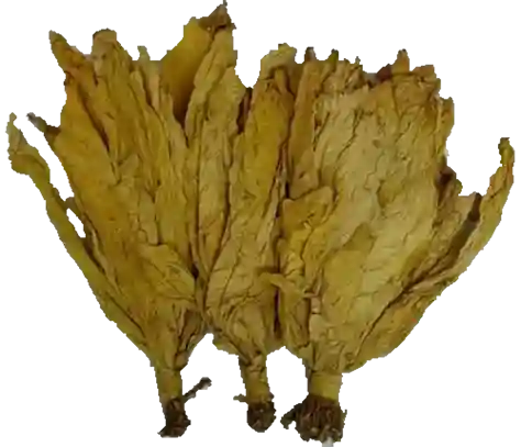 Tabac
