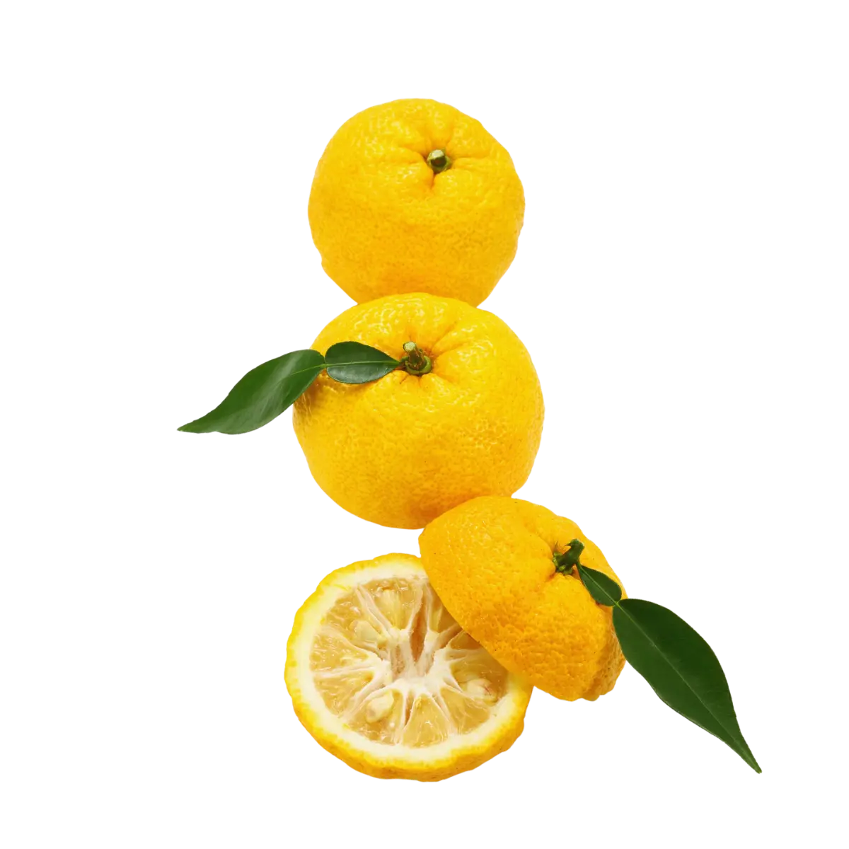 Yuzu