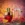 Rare Passion Afnan – Image 4